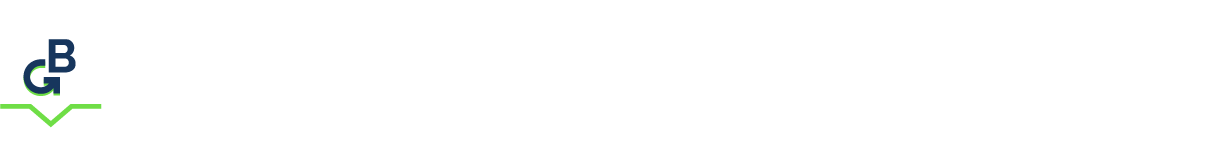 Logo Boer Group